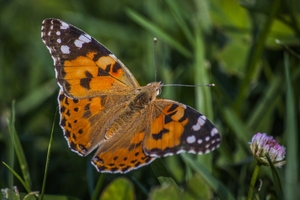 Photograph by Rustam Huseynov