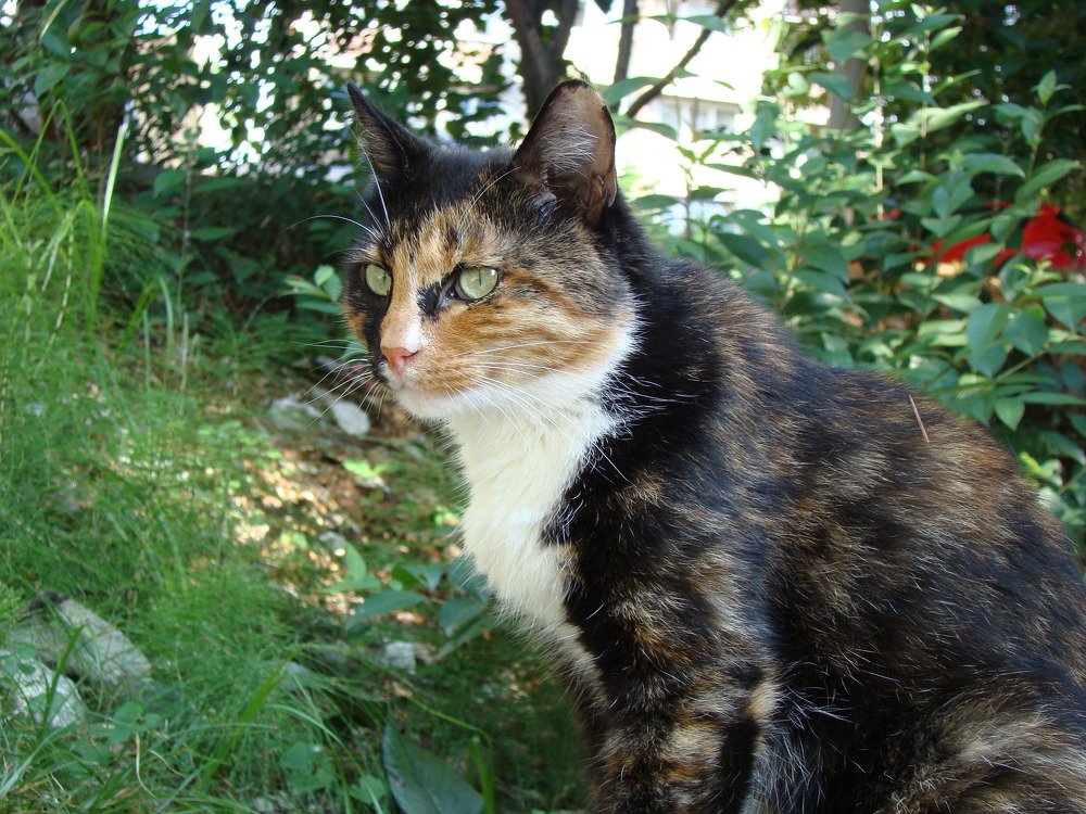 Photograph by ЛЕОНИД БУЛАВИНОВ