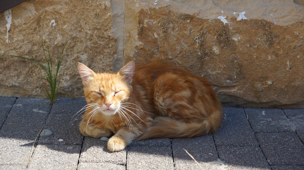 Photograph by ЛЕОНИД БУЛАВИНОВ