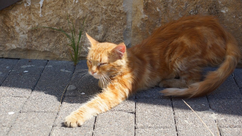 Photograph by ЛЕОНИД БУЛАВИНОВ