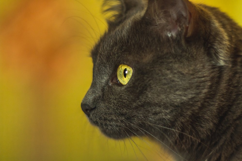 Photograph by Алексей Кашин