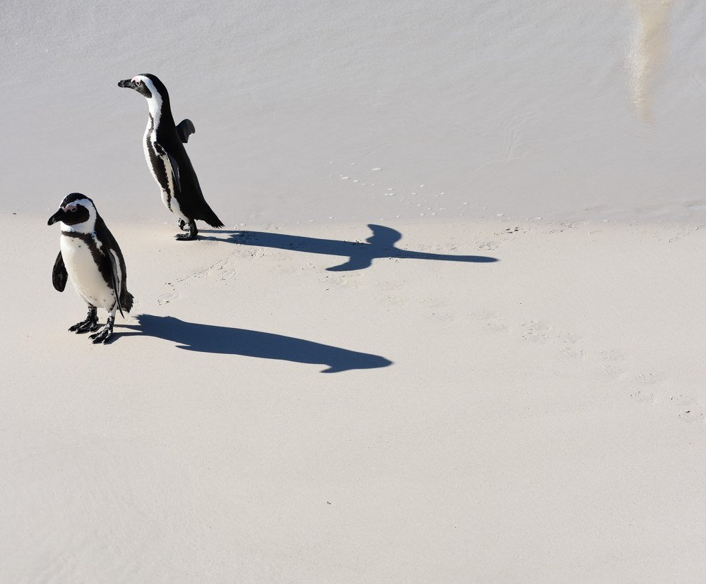 Photograph by Kriti Aggarwal