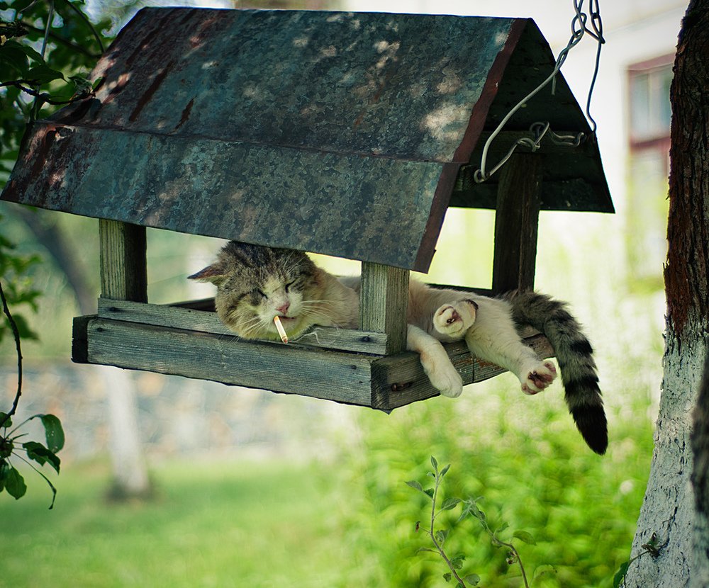 Фотография автора Владимир Щербина