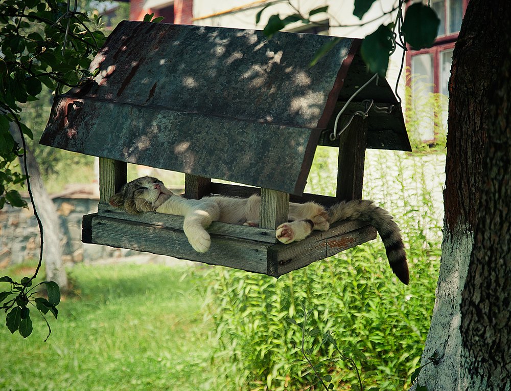 Фотография автора Владимир Щербина