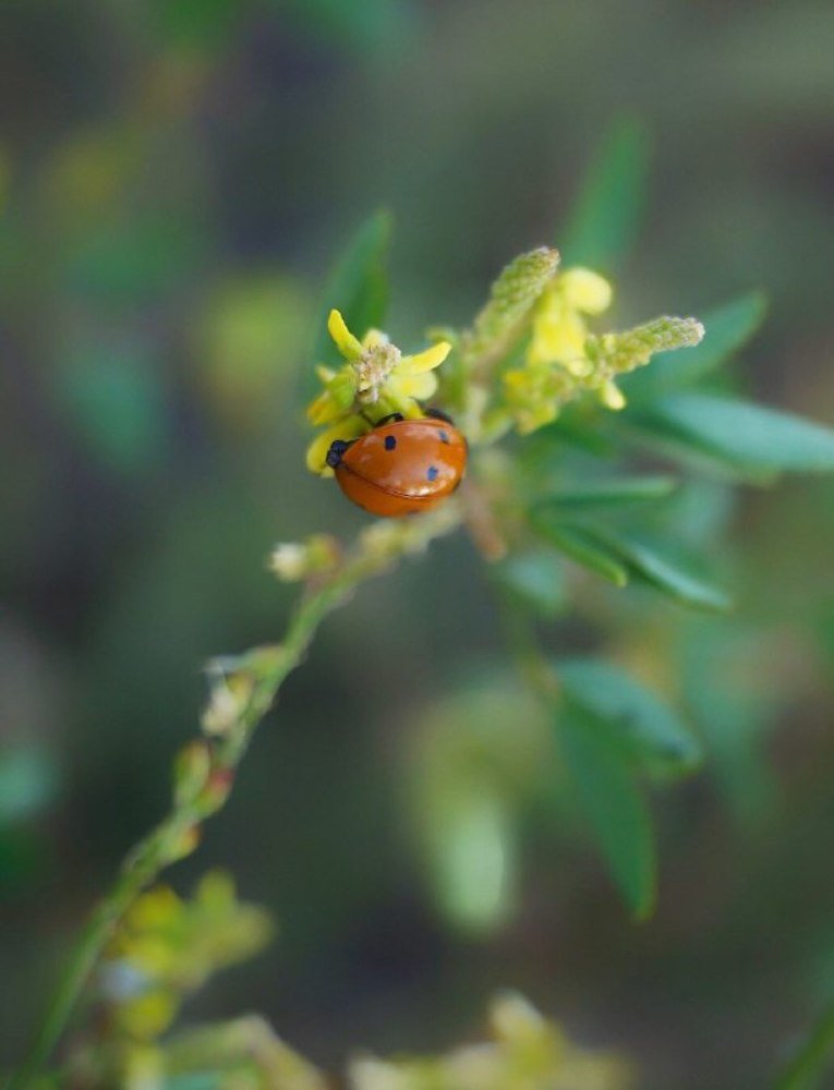 Photograph by Александра Морозова