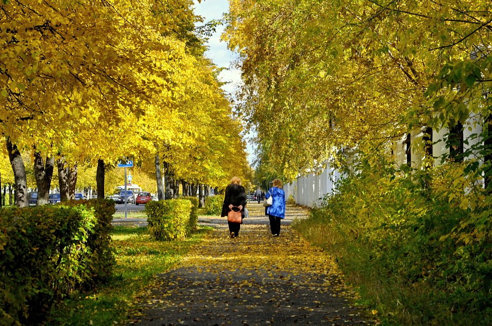 КРАСКИ ОСЕНИ