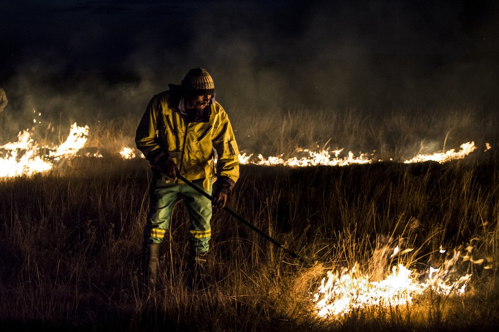 Photograph by Jesse Obbes