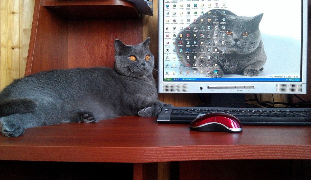 Ну ведь  я лучше???