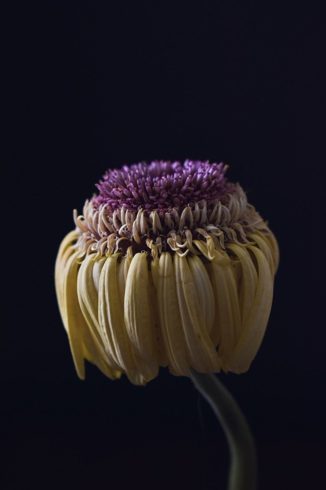 Photograph by Stephanie Hauslaib