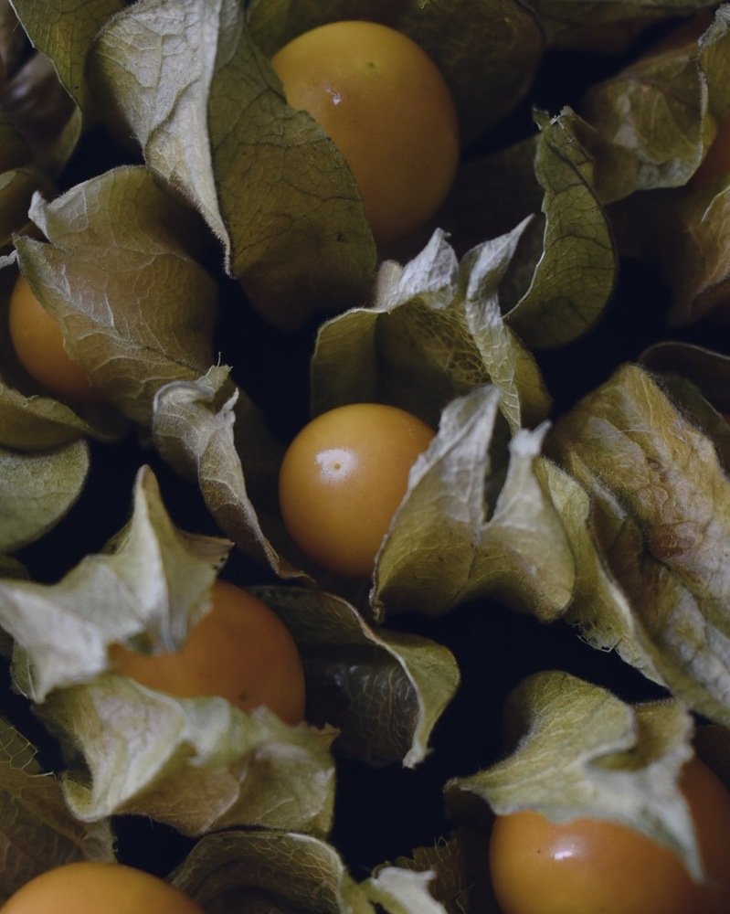 Photograph by Stephanie Hauslaib