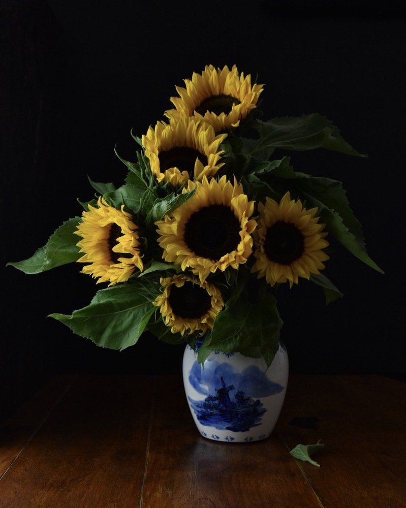 Photograph by Stephanie Hauslaib