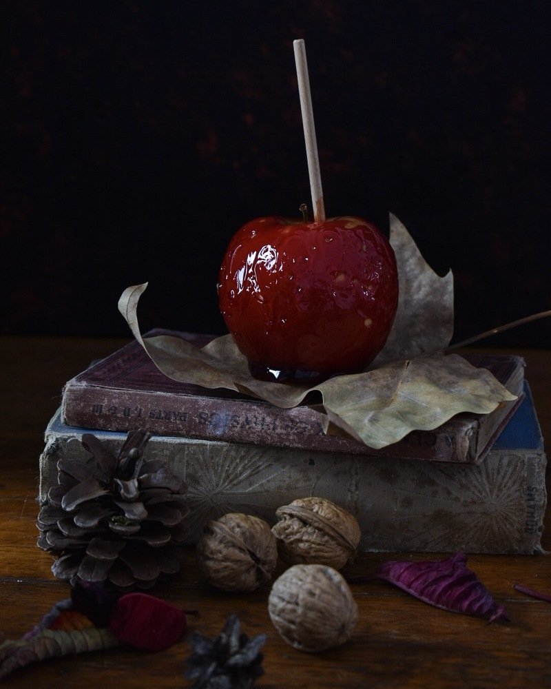 Photograph by Stephanie Hauslaib