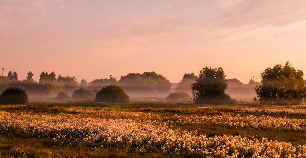 Photograph by Евгений Новицкий
