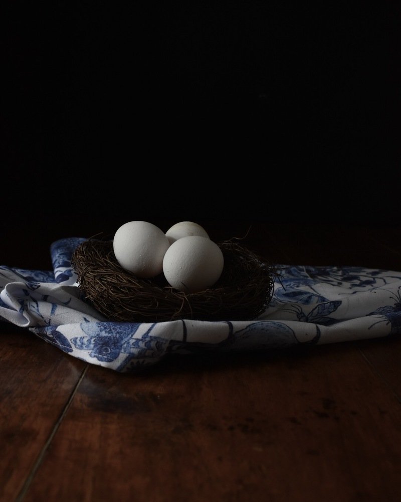 Photograph by Stephanie Hauslaib