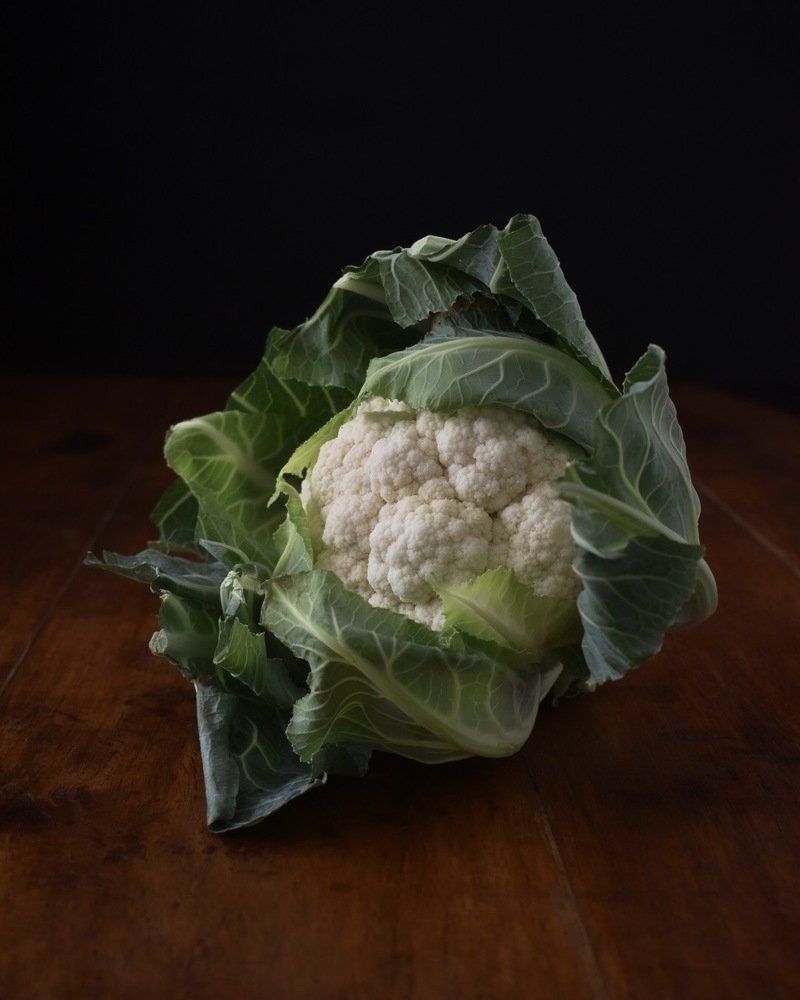 Photograph by Stephanie Hauslaib