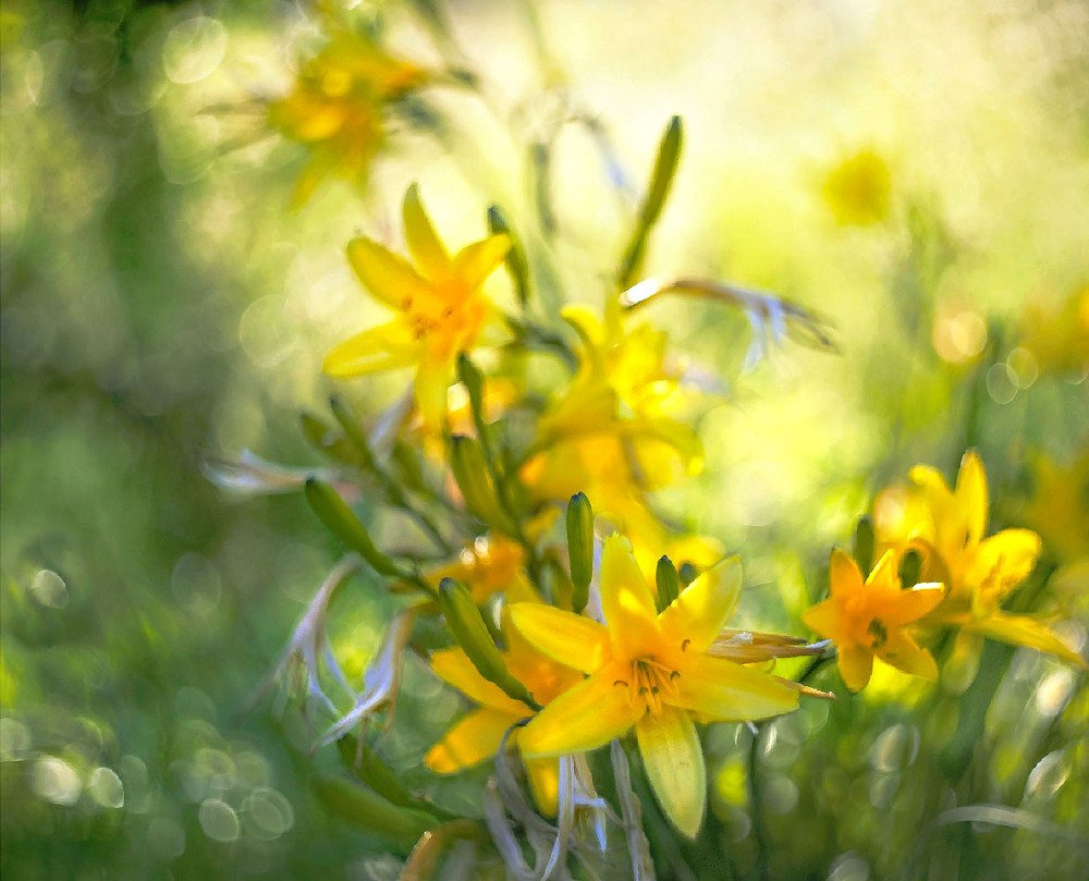 Photograph by Наталья Копылова