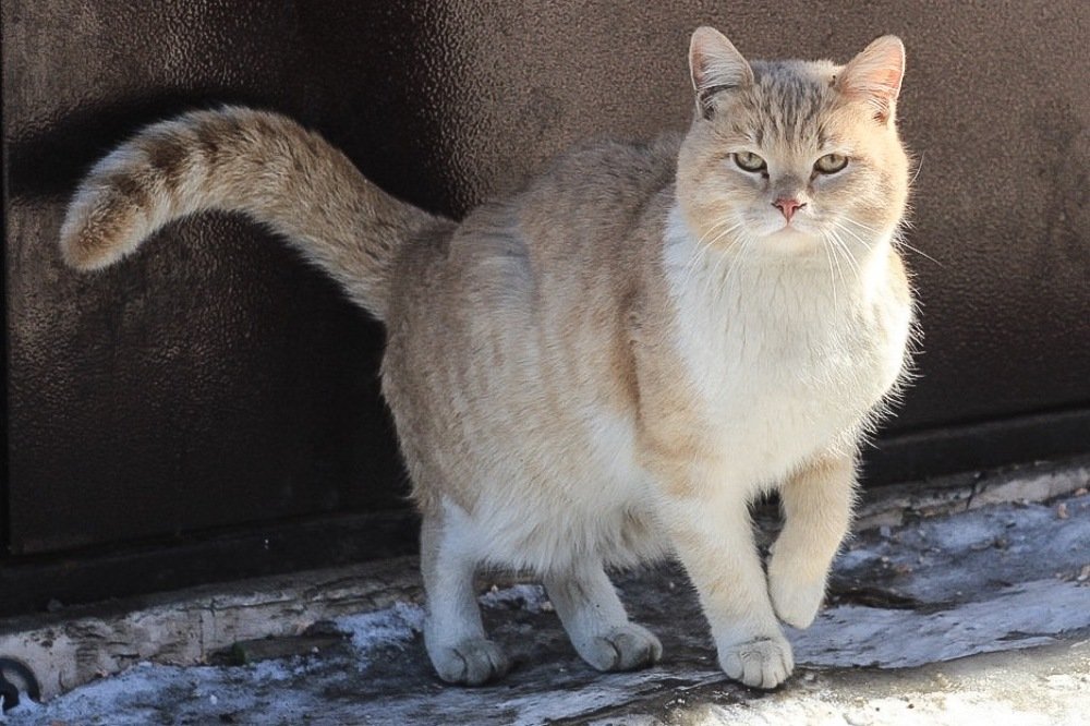 Photograph by Konstantin Morozov