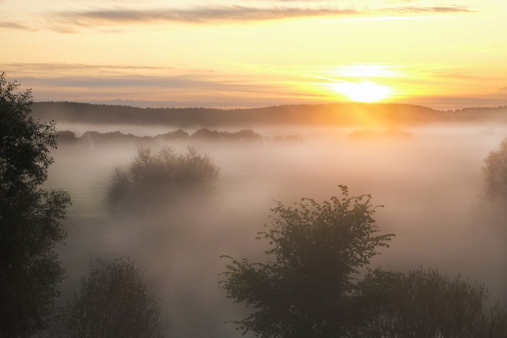 Photograph by Наталья Манусова