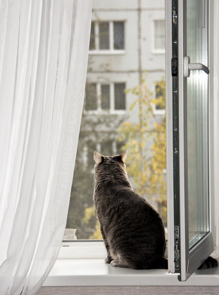 Прарамантику