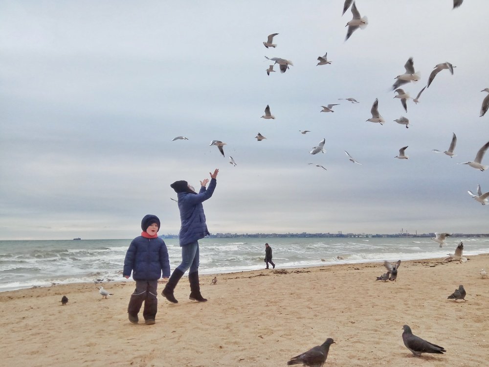 Фотография автора Dmitriy Zhuravlev