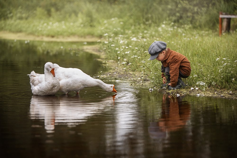Фотография автора Елена Чернигина