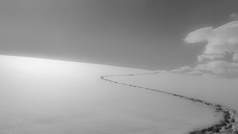 Photograph by Alipour mohammad