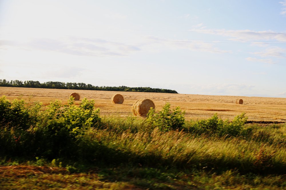 Photograph by Ксения Гербек