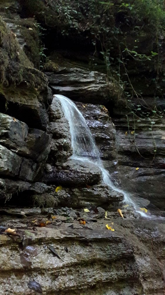 Photograph by Mozhgan Fotouhi