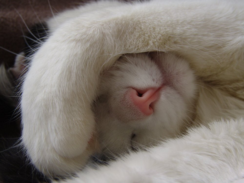 Не снимайте,  стесняюсь