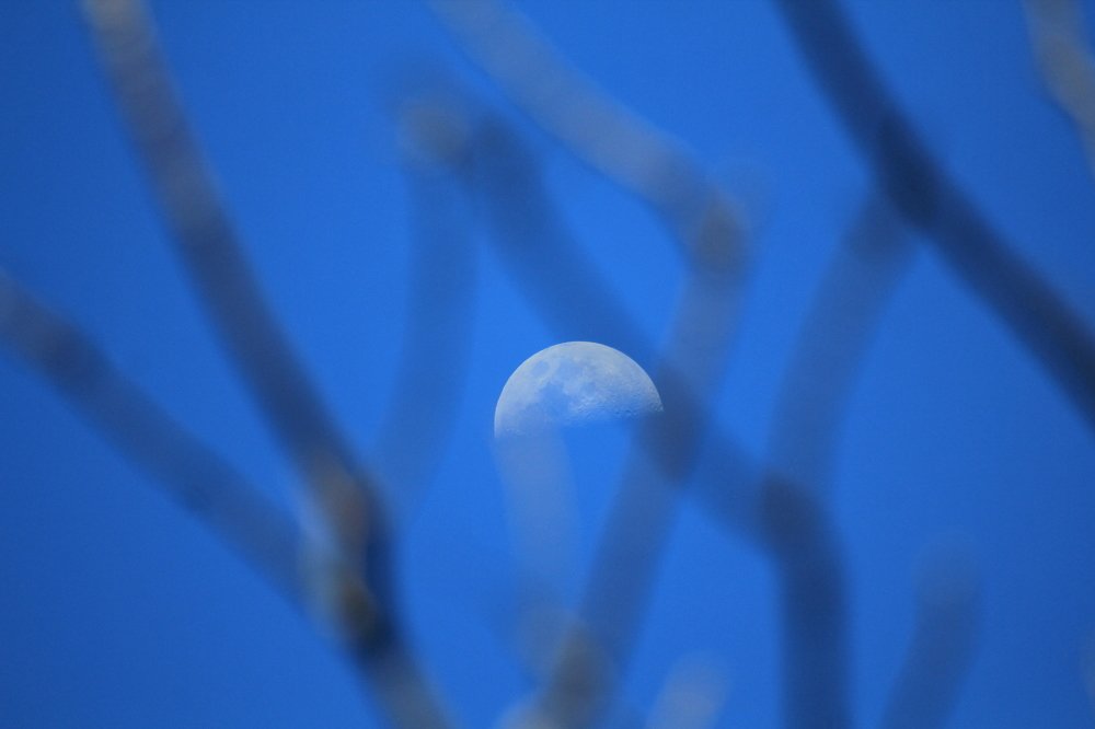 Photograph by Baraya Rocky