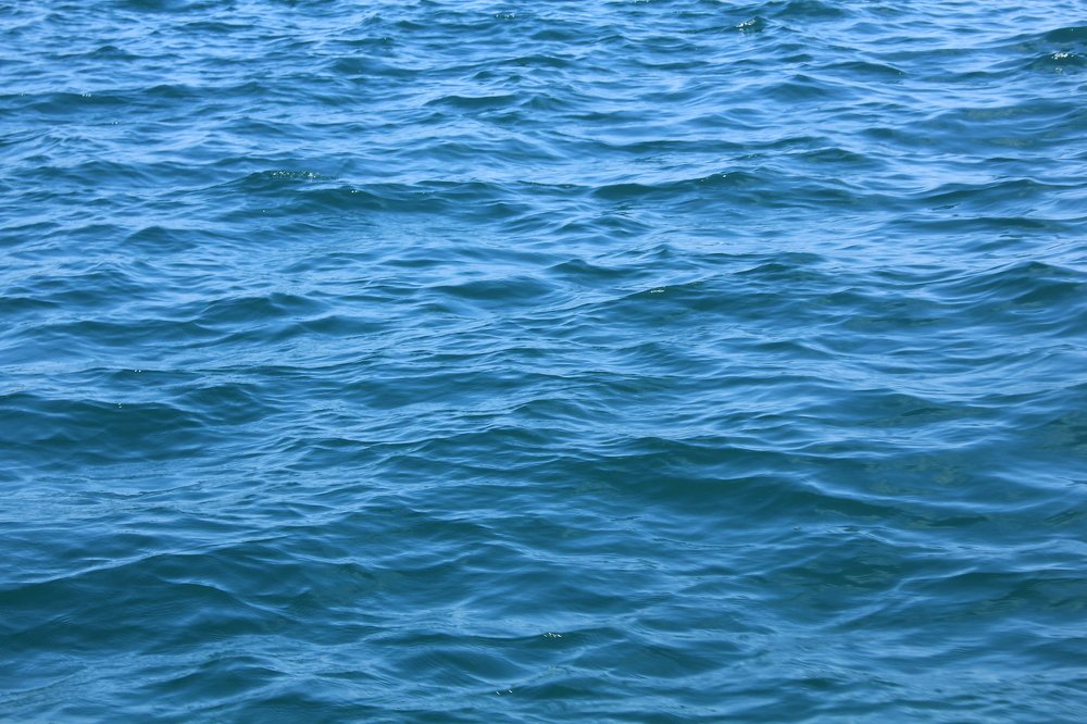 Photograph by Baraya Rocky