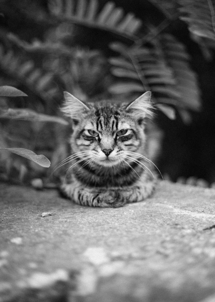 Photograph by Станислав Косматулин