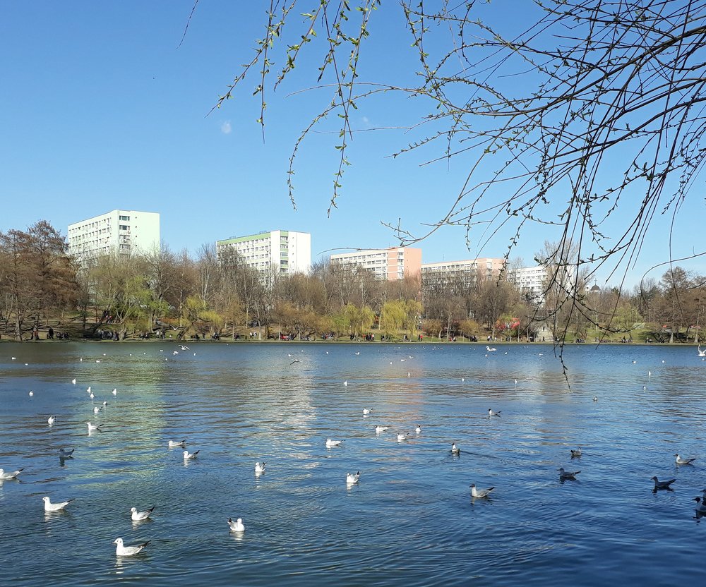 Photograph by Marius-Angel Gheorghe