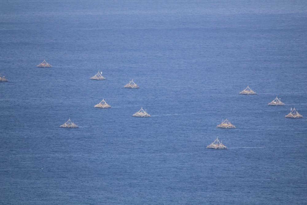 Photograph by Baraya Rocky