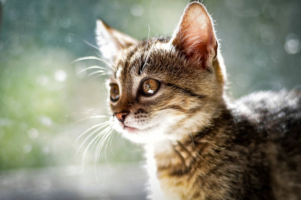 Photograph by Анастасия Донская