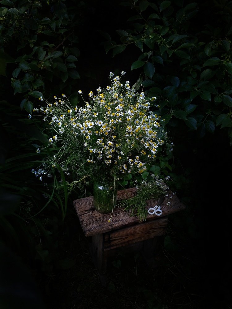 Photograph by Камила Рахматова