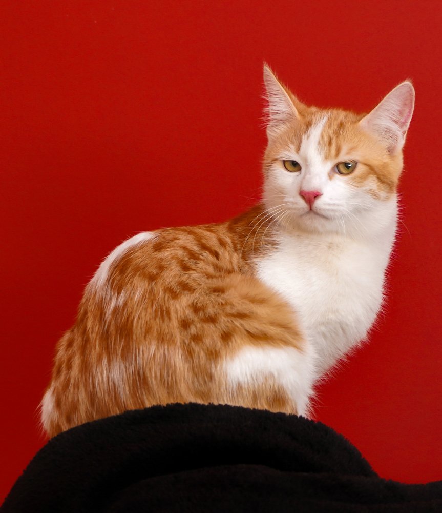 Why are you taking pictures of me, man?