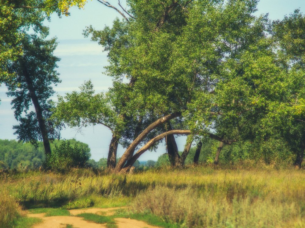 Photograph by Вячеслав Баширов