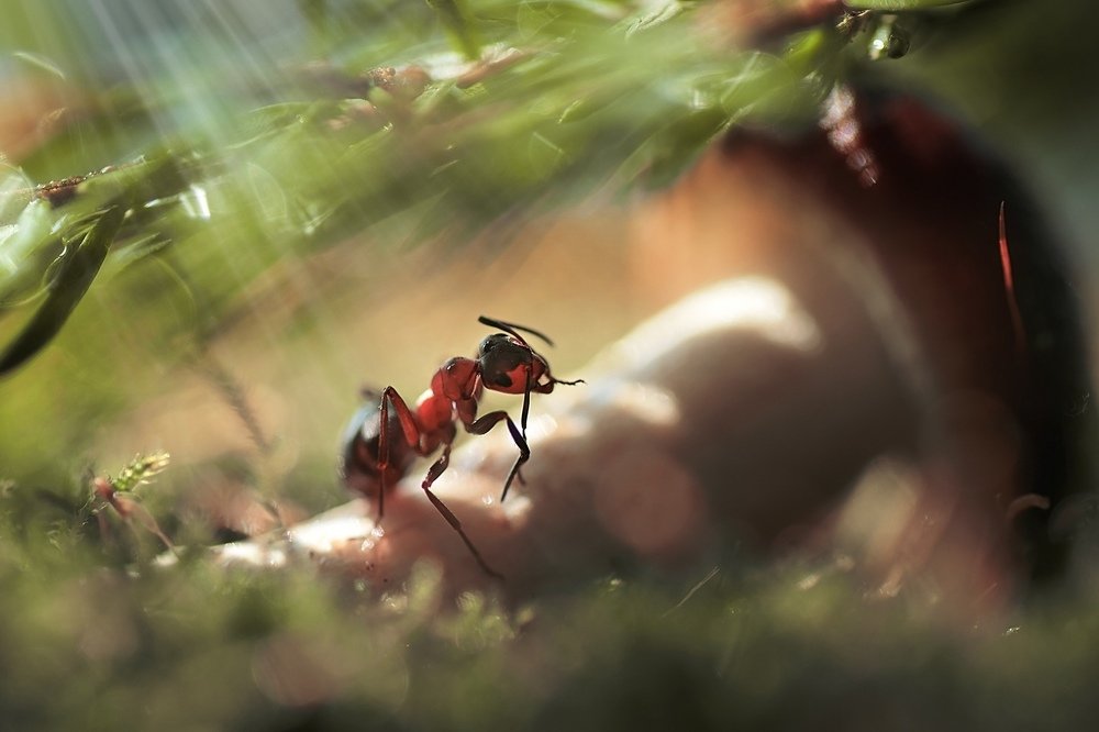 Photograph by Лапшина Владлена