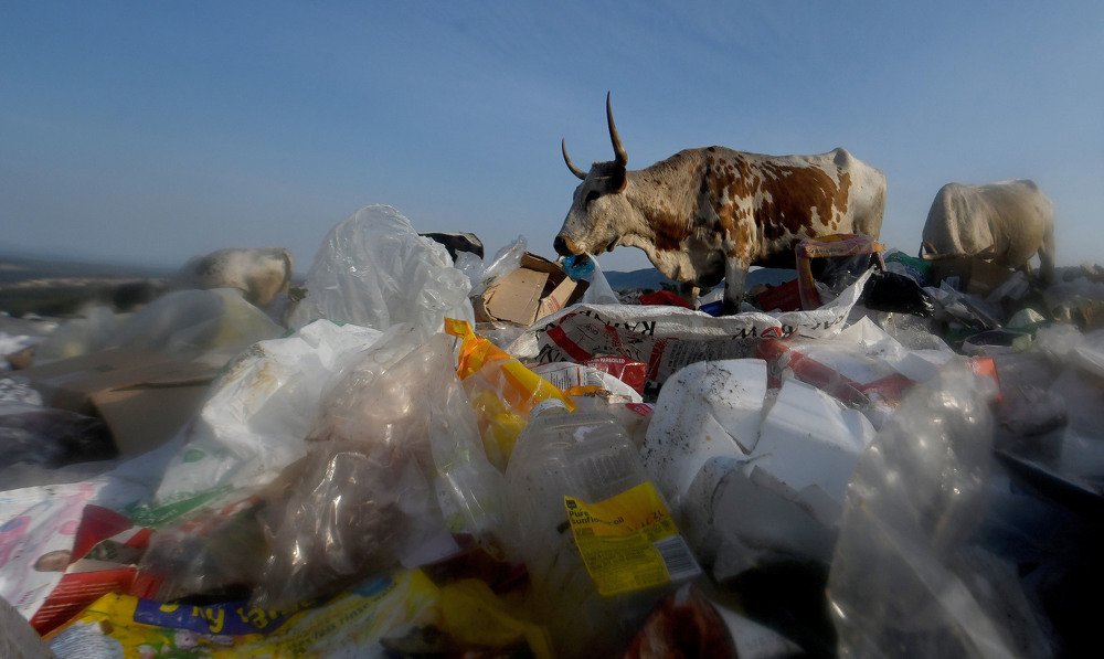 Photograph by lulama zenzile