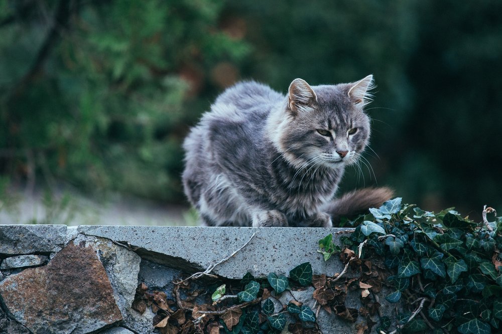 Photograph by Сергей Шпаков