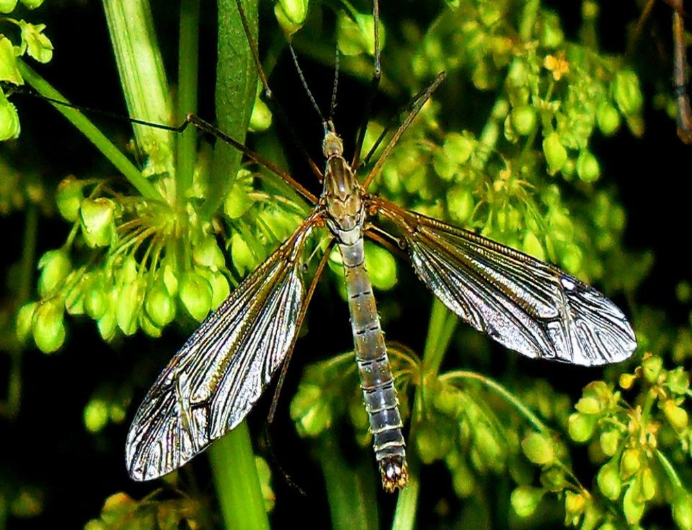 Photograph by voskresija aprilska