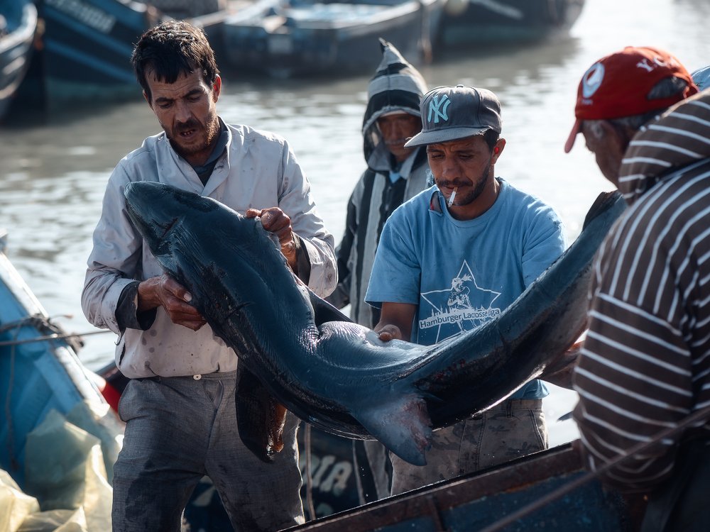 Photograph by Антон Ростовский