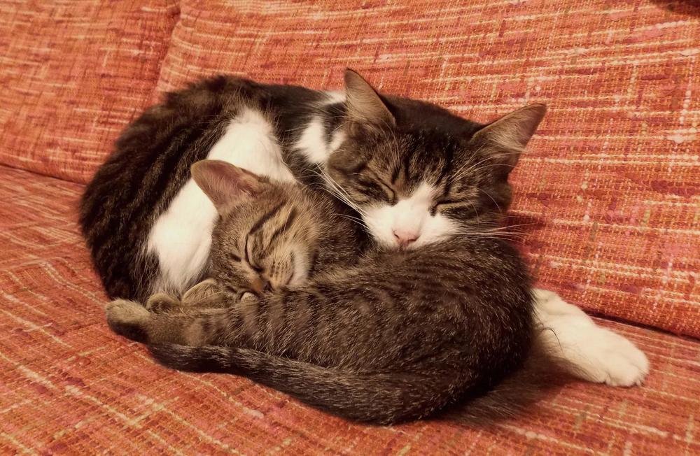 Photograph by voskresija aprilska