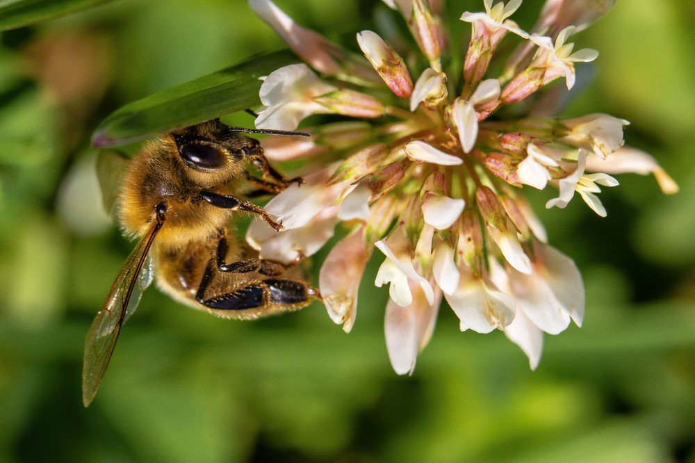 Фотография автора Мария Сурмачева
