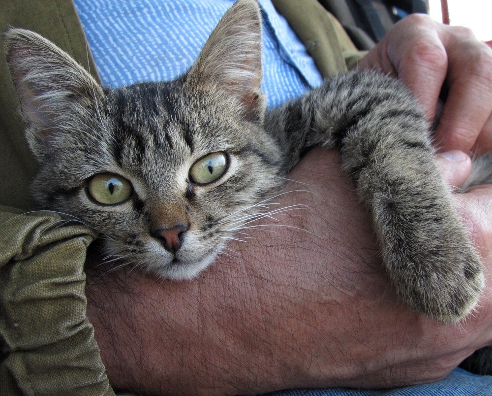 Миг счастья !