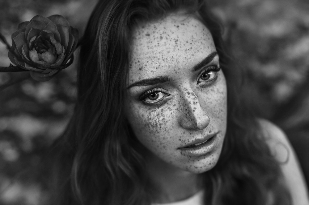 Monochrome Renaissance