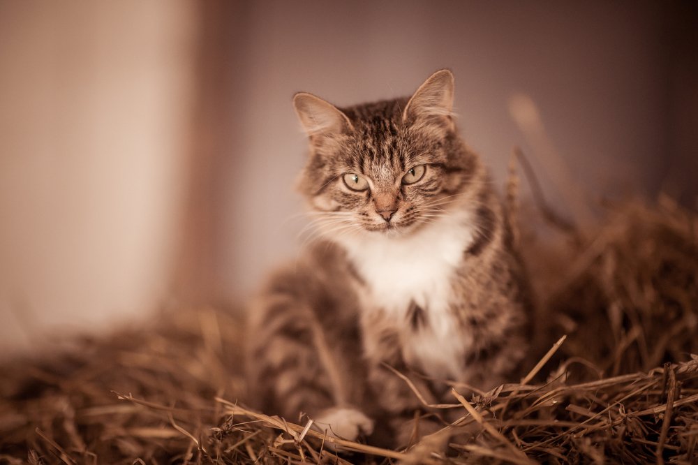 Photograph by Светлана Демина