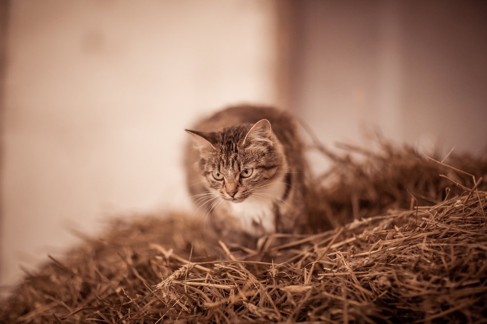 Photograph by Светлана Демина