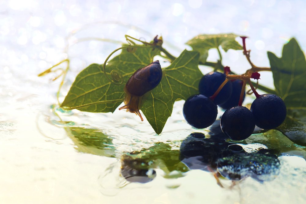 Photograph by Наталья Санталова